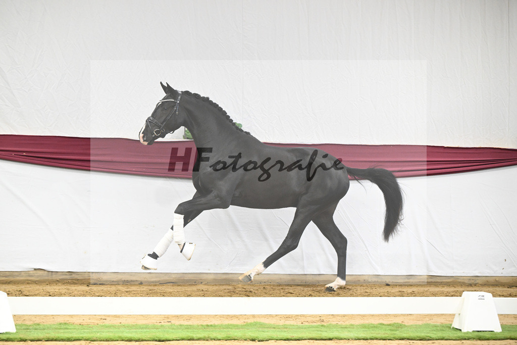 Kat-Nr. 50 Energy x Sezuan_Wilhelm u. Marvin Klausing GbR_47251870 | hf-fotografie - Realisiert mit Pictrs.com