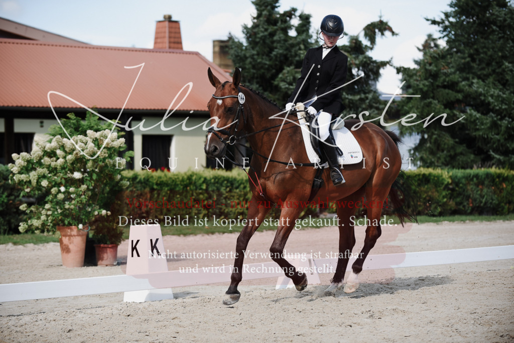 DSC_9993 | Pferde- und Turnierfotografie in Westsachsen. Pferdeportraits, Auftragszeichnungen und intuitive Kunst.