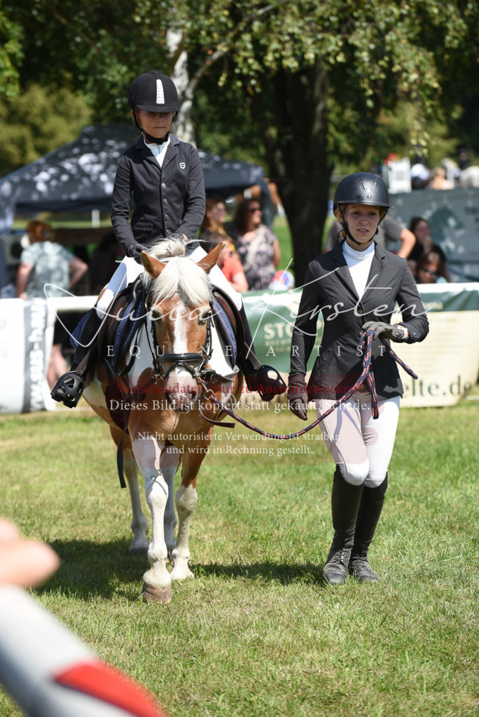 DSC_9838 | Pferde- und Turnierfotografie in Westsachsen. Pferdeportraits, Auftragszeichnungen und intuitive Kunst.
