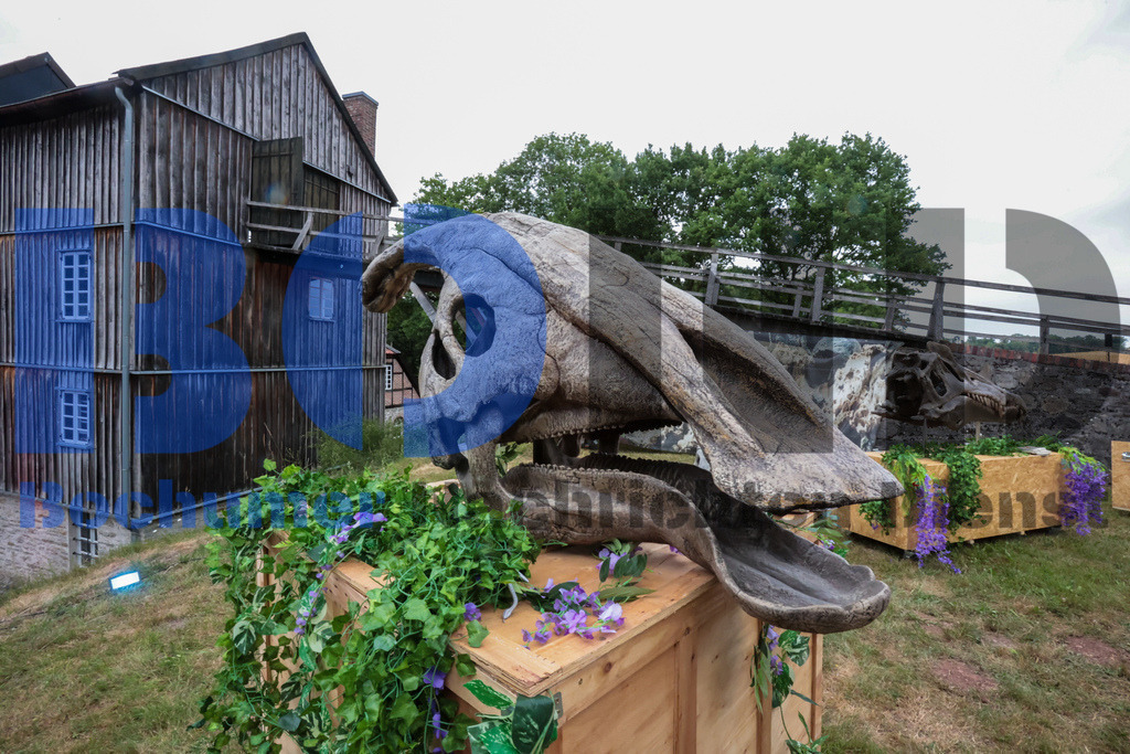 SES_MKRLHE20250705-2 | bond - Realisiert mit Pictrs.com