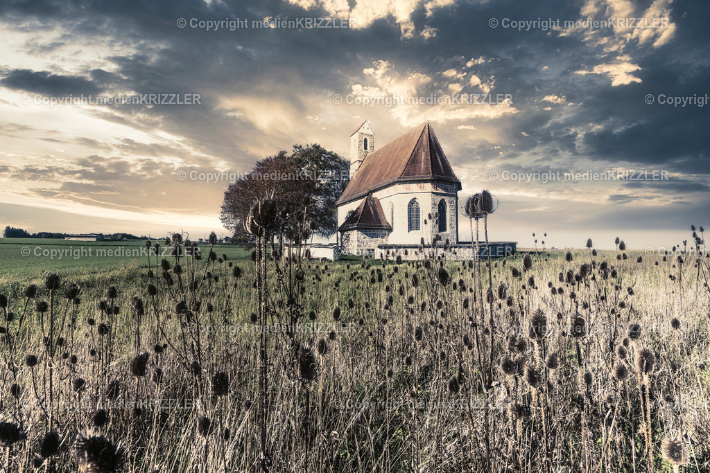 _J3A8933 | medienkrizzler - Realisiert mit Pictrs.com