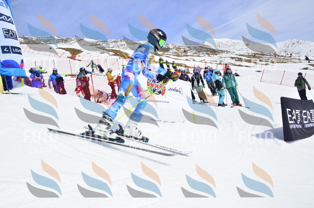 _ELE1819 | holidayphoto