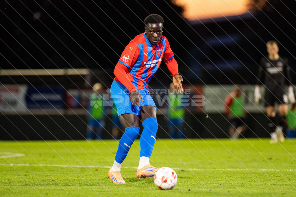 20260821_Picselweb-Fotografie_1R1_3683 | Dein Fotograf aus dem Landkreis Stade für Sport und Events - Realisiert mit Pictrs.com