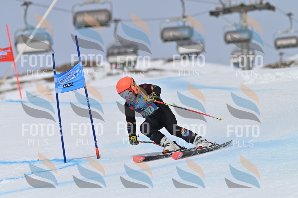 BGV_4007 | holidayphoto