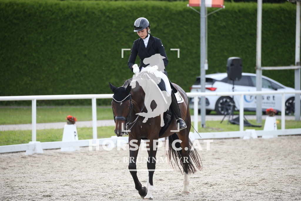 DL2Q5003 | Willkommen bei Brunnmayr - Design & Fotografie – Ihrem Spezialisten für Reitturniere und Pferdeveranstaltungen in Oberösterreich, Salzburg und Bayern! Seit über 17 Jahren sind wir leidenschaftlich dabei.