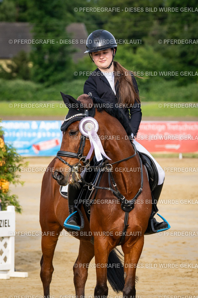 DSC03119 | Pferdegrafie