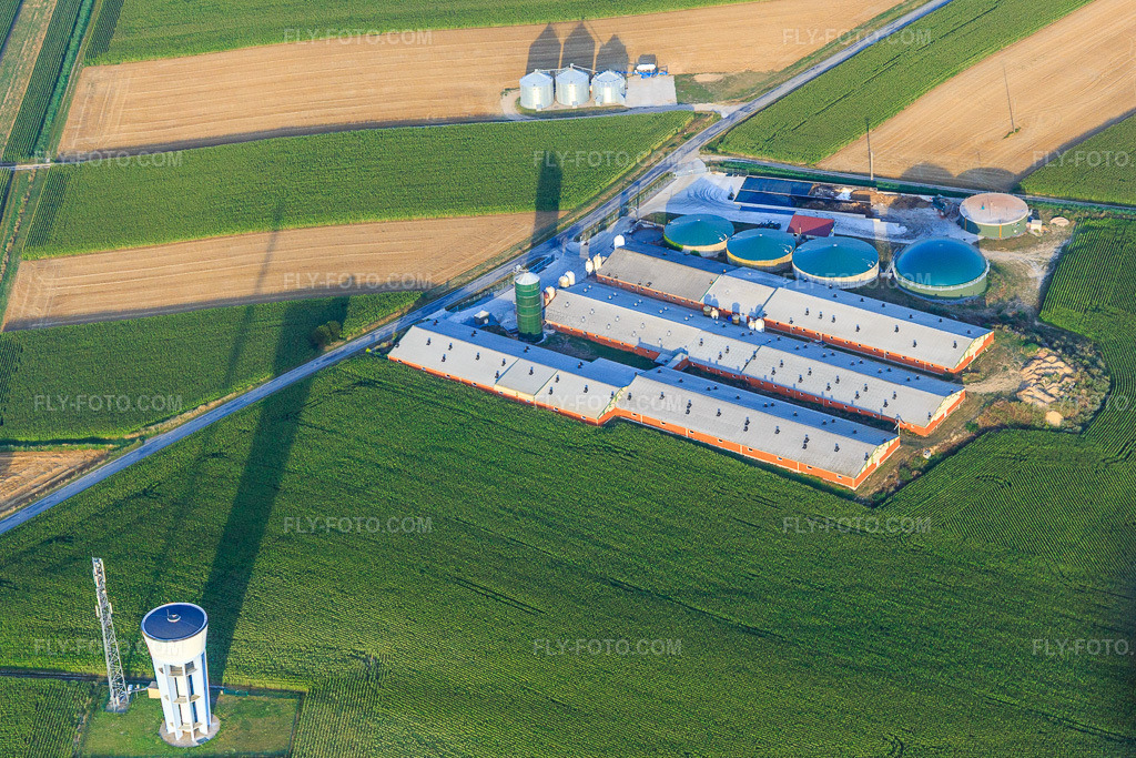 Aerial view: Pig fattening farm with biogas plant at the water tower in Wintzenbach in the state Bas-Rhin, France. – Photo: IMG_121019.jpg taken on 07/23/2020 by Werner Riehm/FLY-FOTO.com – Resolution of the original: 4577 x 3051 px