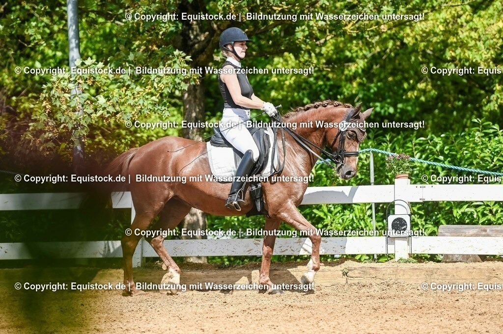 20230716_01_Dressurprüfung Kl.M_0324 | equistock