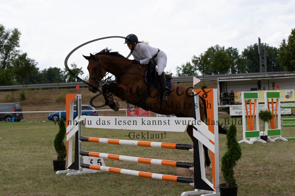 A7V02517 | Pferdefotograf