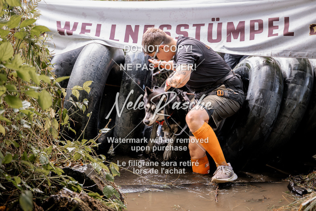 nelerasche_Hunsrück2026_Sa1400-1500_157 | nelerasche