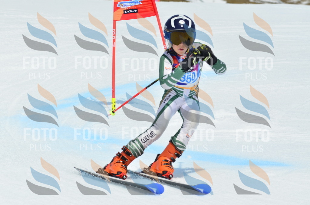 _ELE2676 | holidayphoto