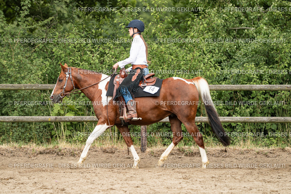 DSC03807 | Pferdegrafie