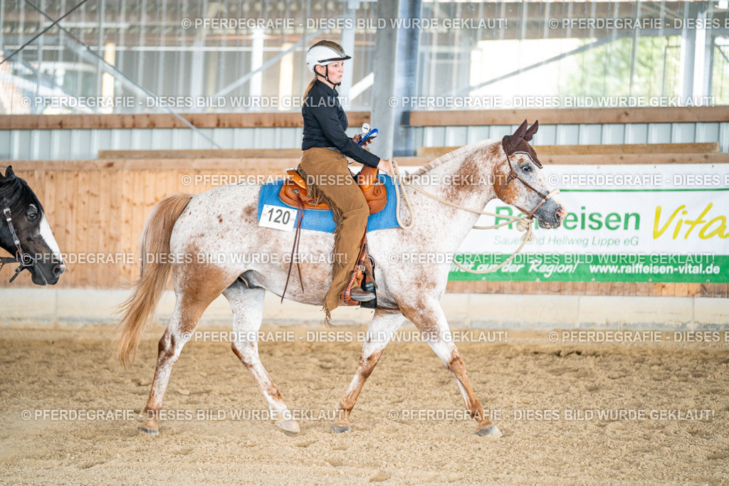 DSC08745 | Pferdegrafie