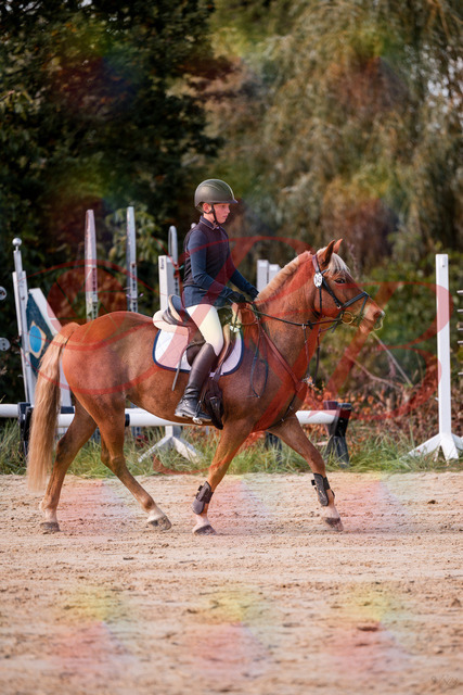 2026_10_03_Siefer-Hof_144617_Z81_22074284 | Professionelle Reitsport-, Turnier- und Eventfotografie von Robert Broda. Galerien mit ausgewählten und bearbeiteten Bildern direkt online ansehen und bestellen.