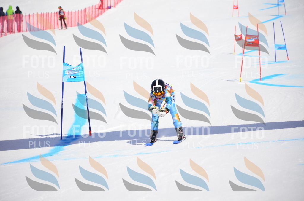 VR4_0050 | holidayphoto