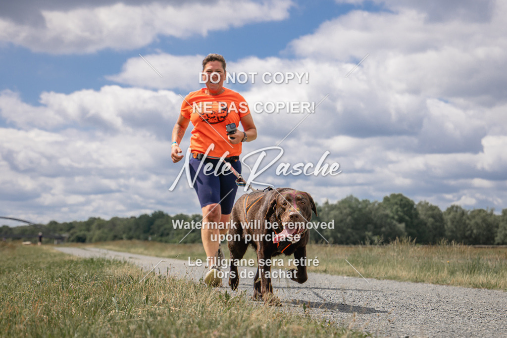 nelerasche_BuHu2026_SaCC1100-1200_187 | nelerasche