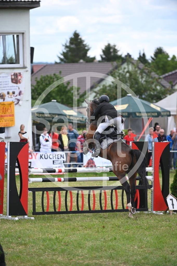 DSC_7227 | sattelsport - Realisiert mit Pictrs.com