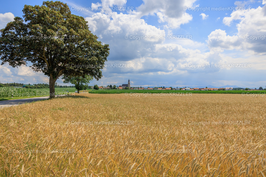 _J3A8094 | medienkrizzler - Realisiert mit Pictrs.com