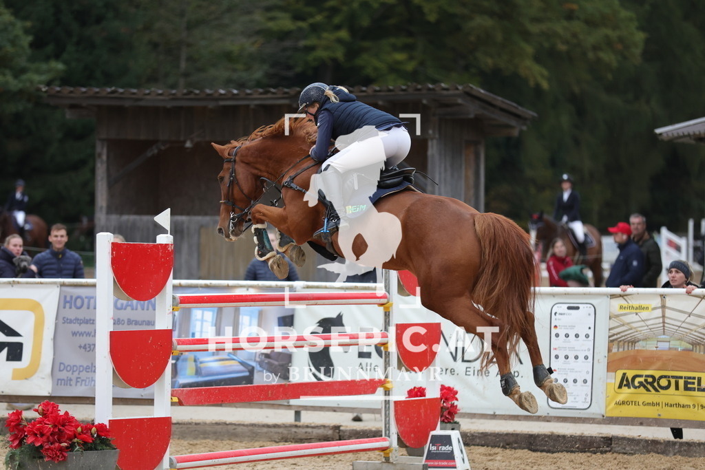 0P6A4730 | Willkommen bei Brunnmayr - Design & Fotografie – Ihrem Spezialisten für Reitturniere und Pferdeveranstaltungen in Oberösterreich, Salzburg und Bayern! Seit über 17 Jahren sind wir leidenschaftlich dabei.