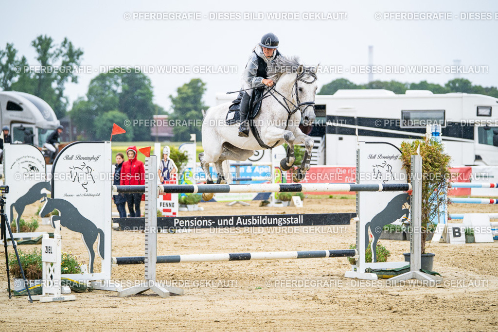 DSC08105 | Pferdegrafie