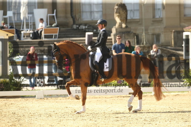 Ludwigsburg_2022_Prfg.Nr.03_FEI Grand Prix_Lisa Wernitznig_Quintus (12) | Alle Fotos der Reiterjournal Fotografin Doris Matthaes im Reiterjournal Online-Fotoshop. - Realisiert mit Pictrs.com