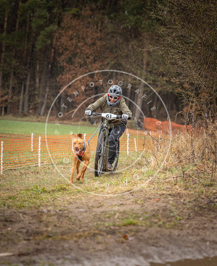 DV3A9508 | Hundefotografie, Tierfotograf, Pfotenfotografie, Fotoshooting Hund, Hunde Portrait, Hundesport, Hundeportraits, Heideshooting, Hunde, Sportfotograf, Hundefotograf, Turnierhundsport, THS,  - Realisiert mit Pictrs.com