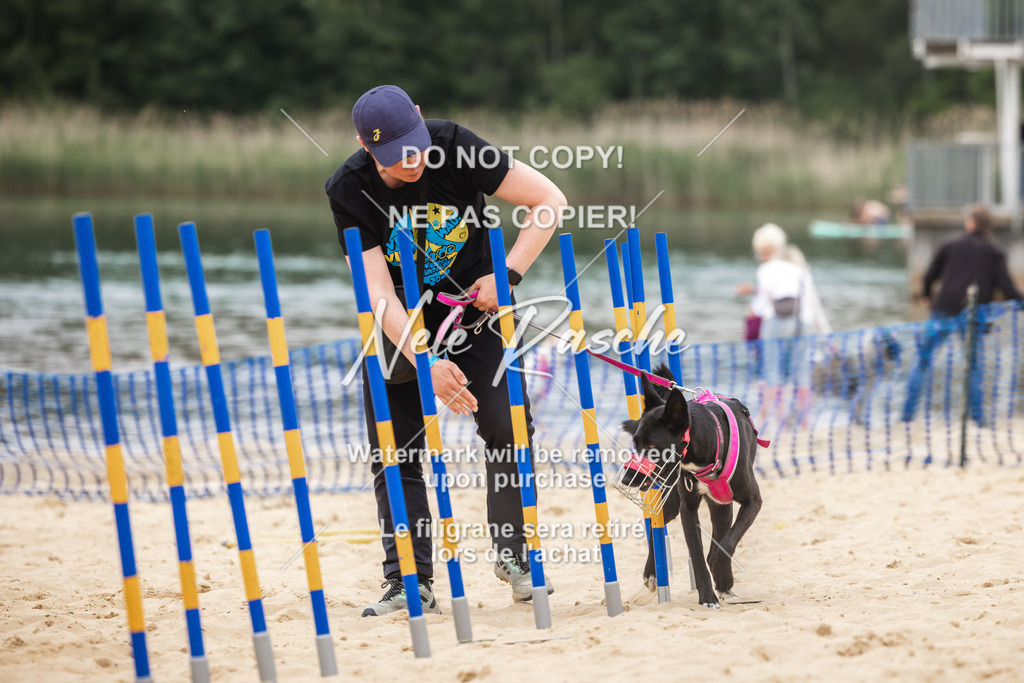 nelerasche_BuHu2026_So1330-1430_58 | nelerasche
