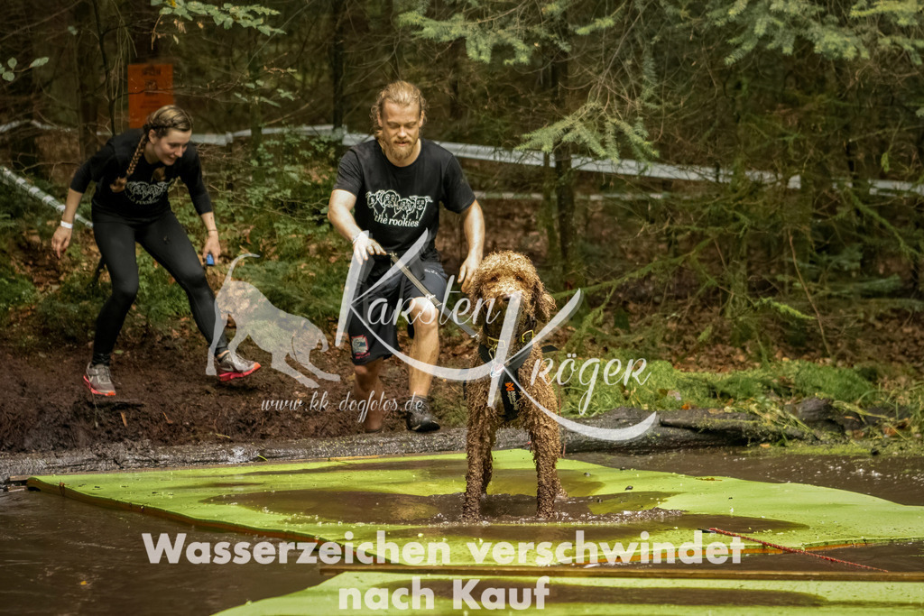 1217_ZZ93638-Bearbeitet | kk-dogfotos