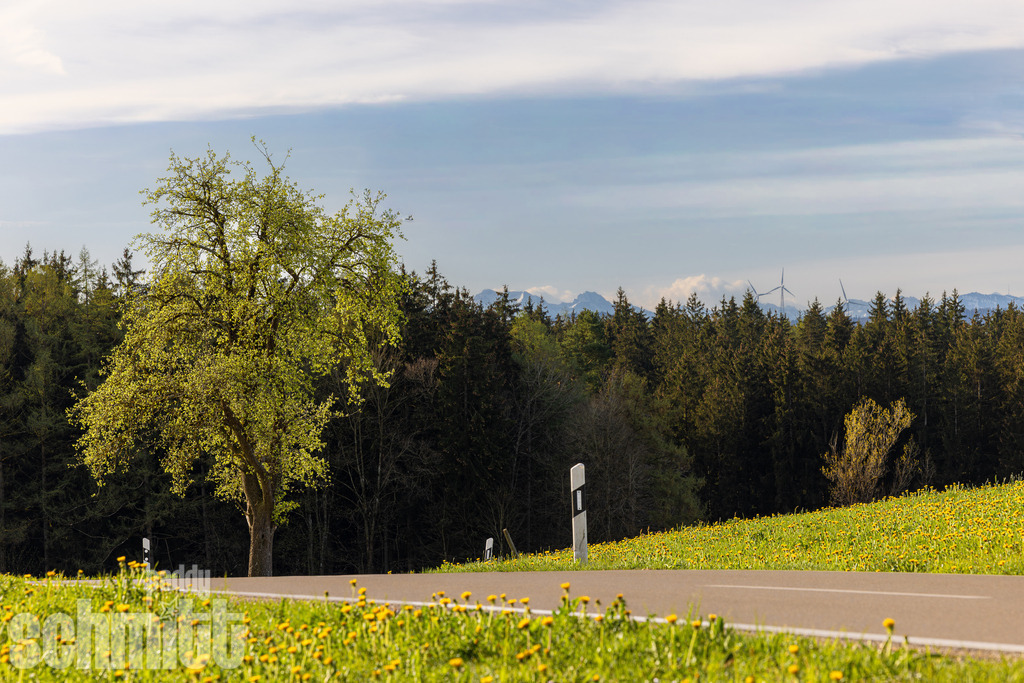 PS-Wege-2026-38 | Entdecke die größte Bildgalerie der Region mit Fotografien aus dem Allgäu, der Bodenseeregion, Oberschwaben, dem Donautal und der Schwäbischen Alb. Landschaften, Luftaufnahmen und Reisefotografie als Wandbild und Fotokunst. - Realisiert mit Pictrs.com