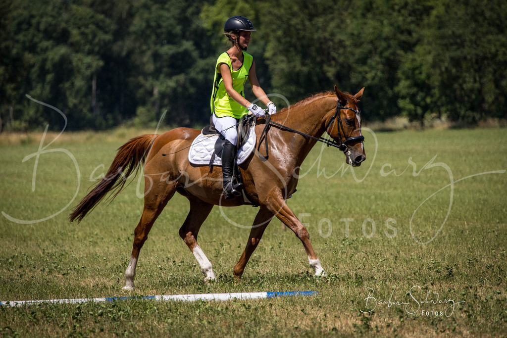 CJP_2026-06-26_29 | Stimmungsvolle Fotografie von Pferden, fotografische Begleitung von Veranstaltungen, Golfturnieren und Distanzritten - Realisiert mit Pictrs.com