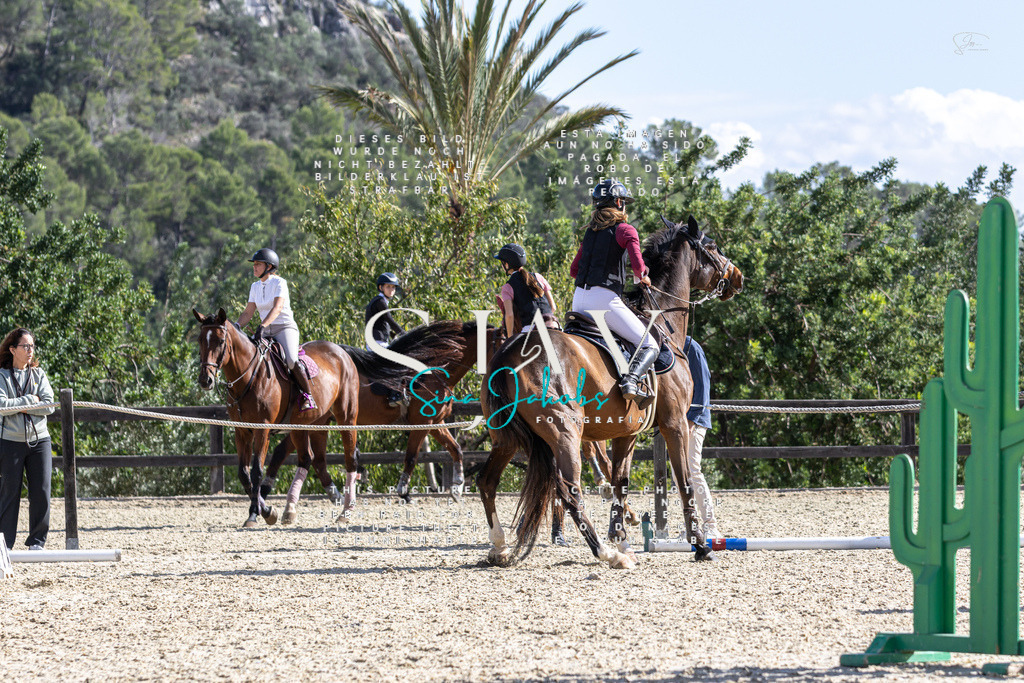 IMG_0360 | s-jay-photography - Realisiert mit Pictrs.com