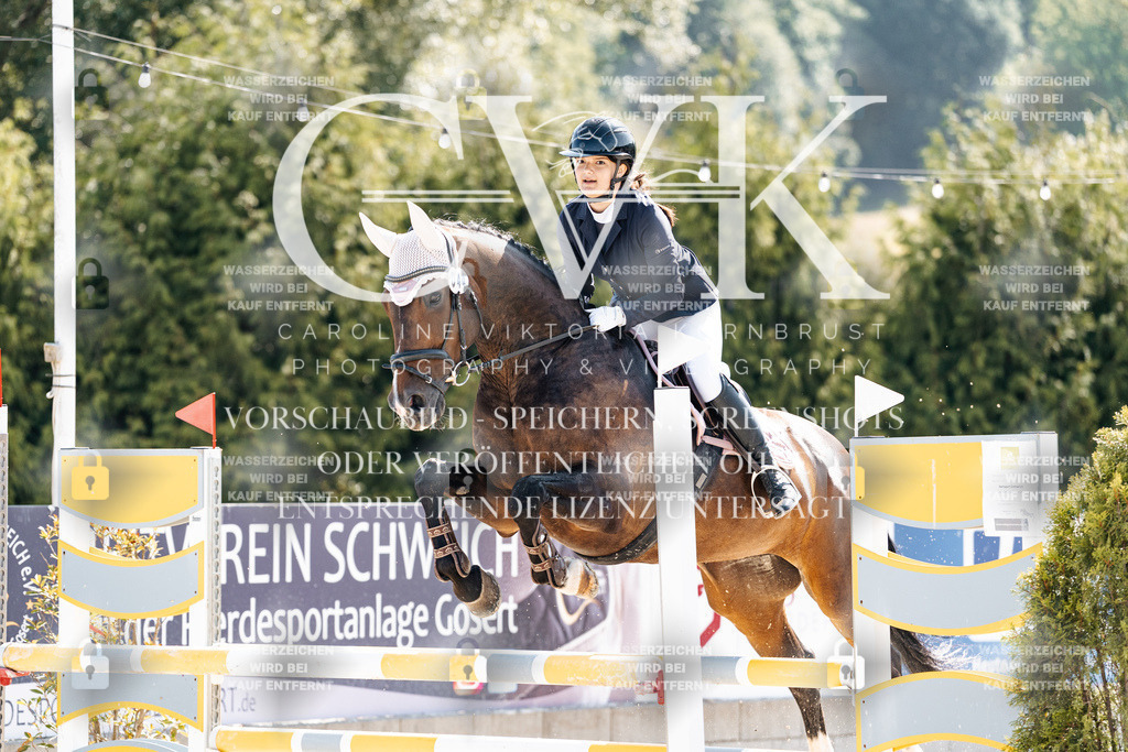 CK908159 | Turnierfotografie Pferdefotografie Trier Rheinland-Pfalz Pferdesport Reitsport Tierfotografie Sportfotografie Pferdevideo Pferdevideografie Equestrianvideography equestrianphotography  - Realisiert mit Pictrs.com