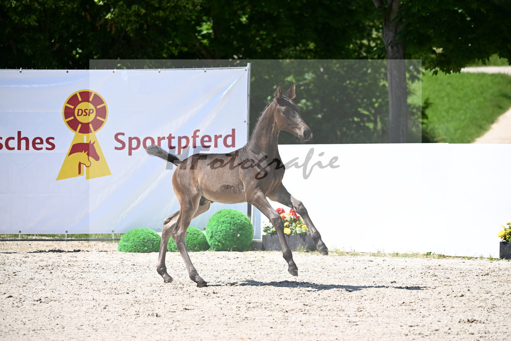 Fuerst Toto x Rubin-Royal_HF_Juerges_13251525 | hf-fotografie - Realizzato con Pictrs.com