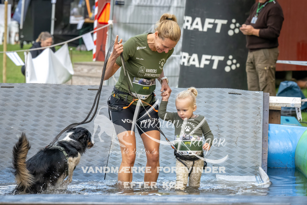 1451_ZZ92817-Bearbeitet | kk-dogfotos