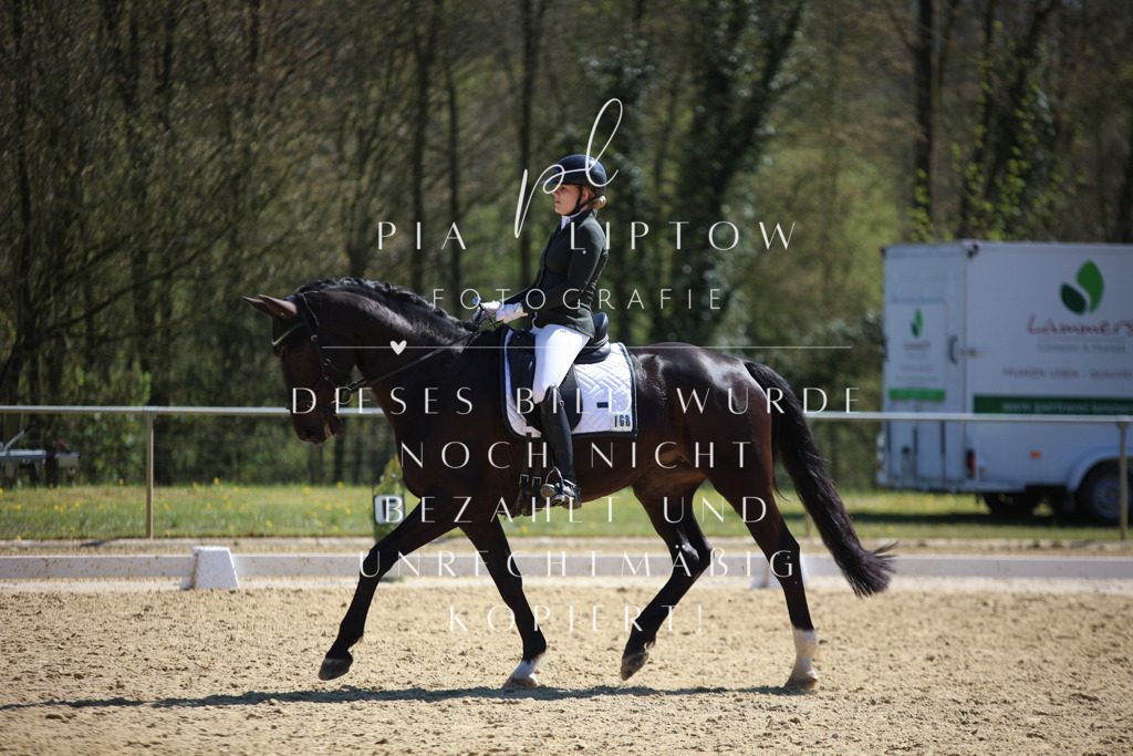 IMGT7726 | pl-fotografie