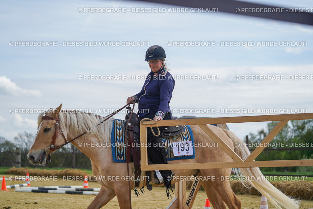 DSC05081 | Pferdegrafie