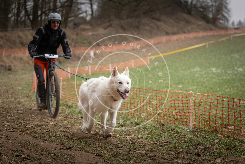 Pfotenfotografie_DV3A6921 | Hundefotografie, Tierfotograf, Pfotenfotografie, Fotoshooting Hund, Hunde Portrait, Hundesport, Hundeportraits, Heideshooting, Hunde, Sportfotograf, Hundefotograf, Turnierhundsport, THS,  - Realisiert mit Pictrs.com