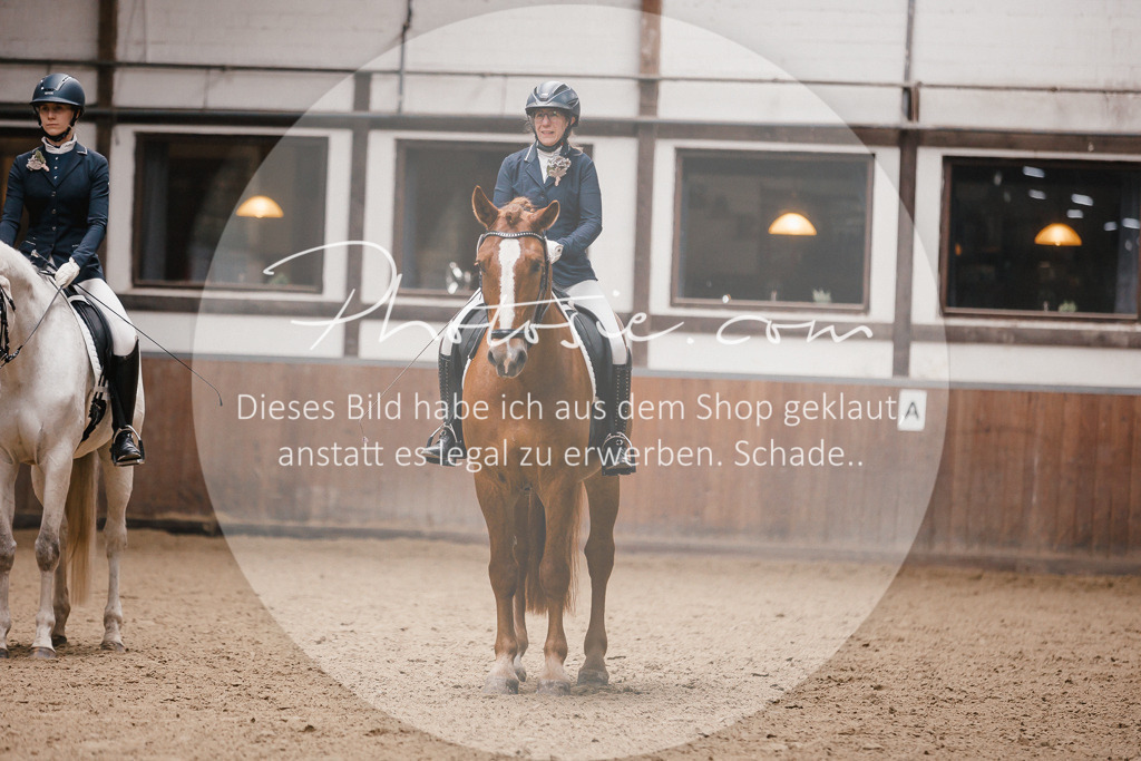 3I6A7241 | Stimmungsvolle Portraits und Reitsportfotografie im Ruhrgebiet und im Münsterland.

Pferdefotografie, Hundefotografie, Tierfotografie, Reportagen, Portraits von Tier und Mensch, Turnierfotografie in Bochum, Recklinghausen, Marl, Haltern am See, Dülmen.. - Realisiert mit Pictrs.com