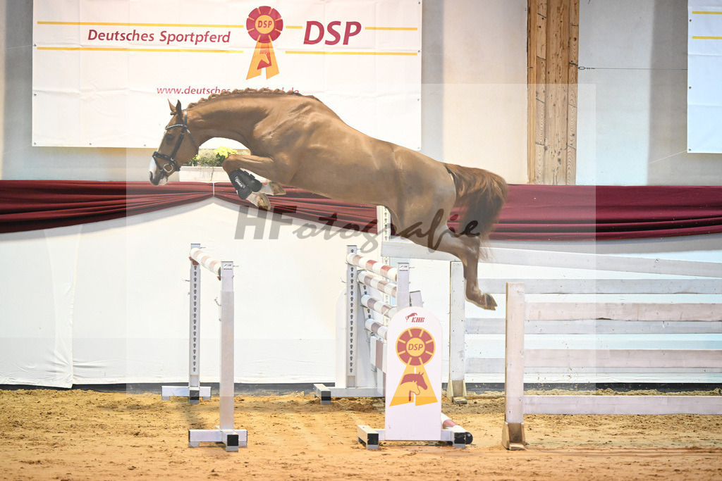 Kat-Nr. 41 v. Manchester vant Paradijs_Schulze-Averdiek_66221164 | hf-fotografie - Realisiert mit Pictrs.com