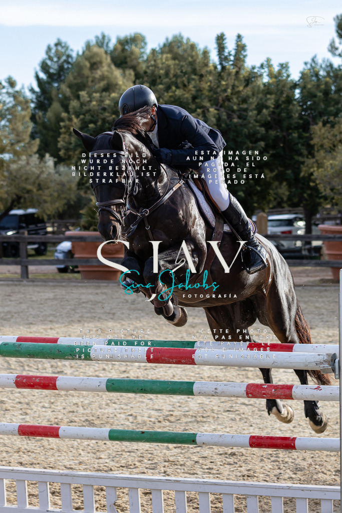 IMG_0586 | s-jay-photography - Realisiert mit Pictrs.com