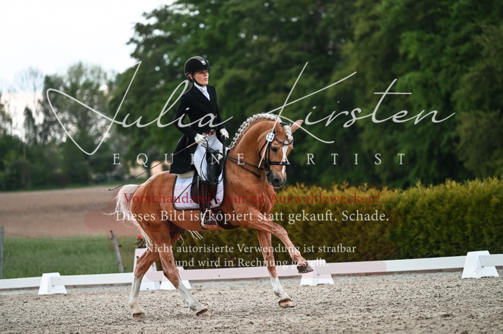 20230514_JK-Röhrsdorf-21-416 | Pferde- und Turnierfotografie in Westsachsen. Pferdeportraits, Auftragszeichnungen und intuitive Kunst.