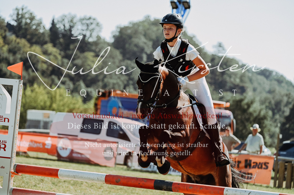 DSC_6833 | Pferde- und Turnierfotografie in Westsachsen. Pferdeportraits, Auftragszeichnungen und intuitive Kunst.