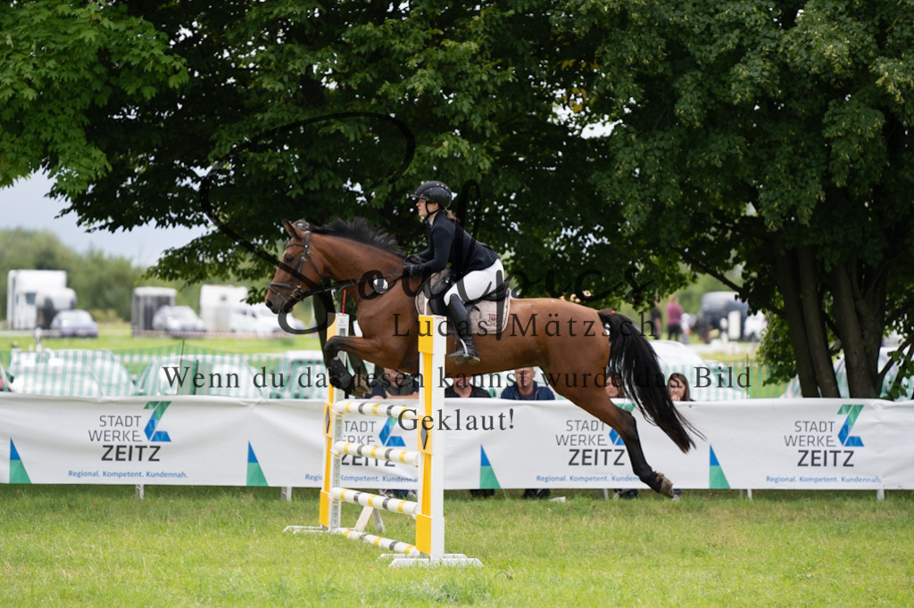 A7V04104 | Pferdefotograf