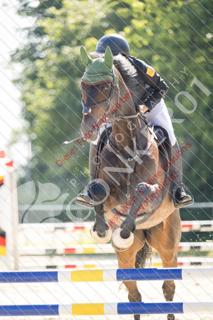 IMG_2880 | Sport-, Event- und Tierfotos in Profiqualität. Einfach auswählen, bestellen und herunterladen. Dein Moment – perfekt festgehalten.
