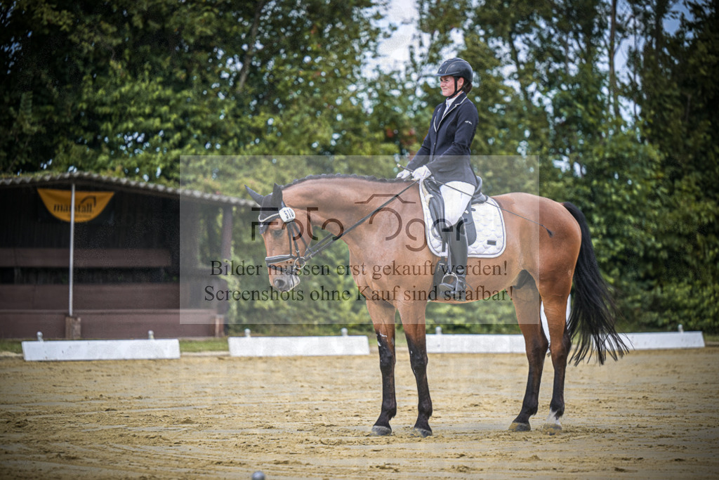 DOS_1164 | Entdecke hochwertige Reitturnierfotos von Foto Oger. Professionell, emotional und authentisch – jetzt Lieblingsmomente im Shop bestellen.Deutschlandweite Turnierfotografie. - Realisiert mit Pictrs.com