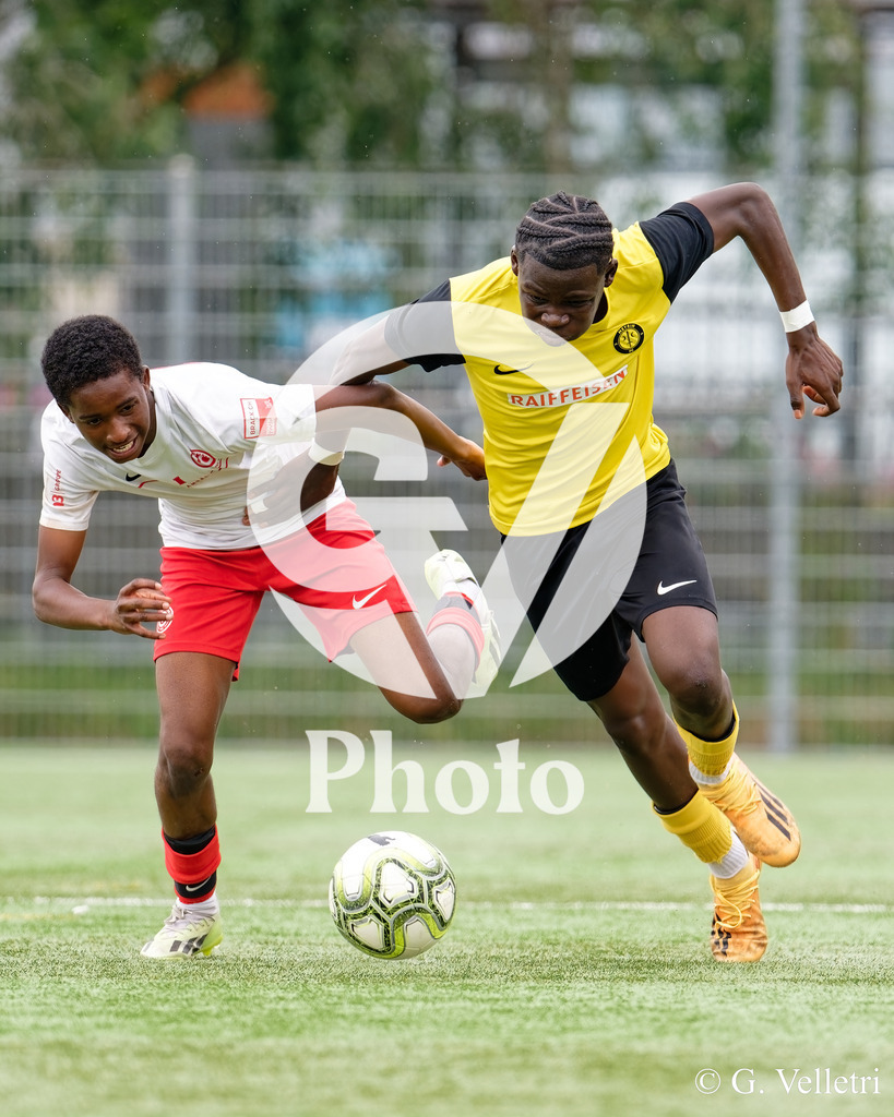 DSC_6867 | Velletri Photo