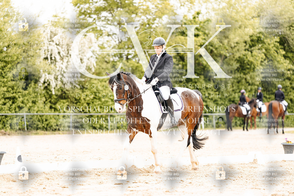 CK903586 | Turnierfotografie Pferdefotografie Trier Rheinland-Pfalz Pferdesport Reitsport Tierfotografie Sportfotografie Pferdevideo Pferdevideografie Equestrianvideography equestrianphotography  - Realisiert mit Pictrs.com