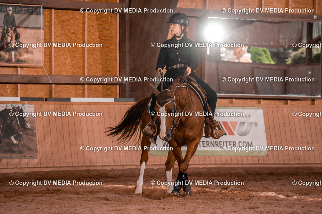 NE200717 | dv-media-shop - Realisiert mit Pictrs.com