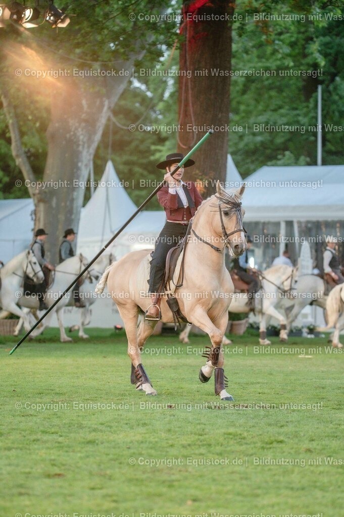 20230526_Pferdenacht_0741 | equistock