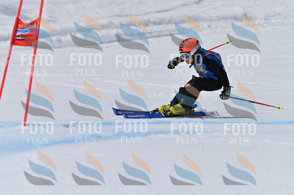 BGV_7244 | holidayphoto